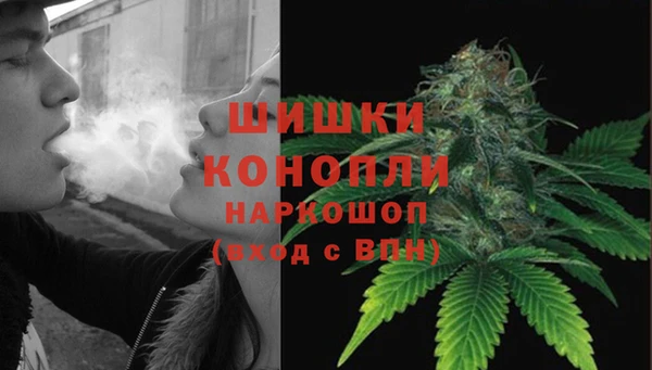 spice Алзамай