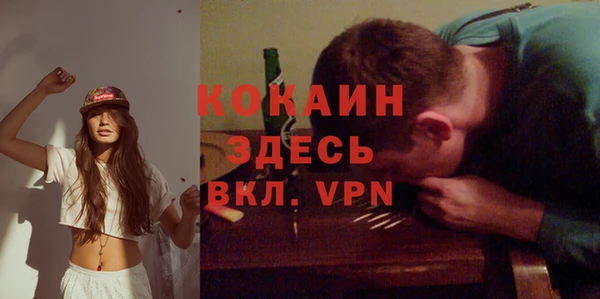 spice Алзамай