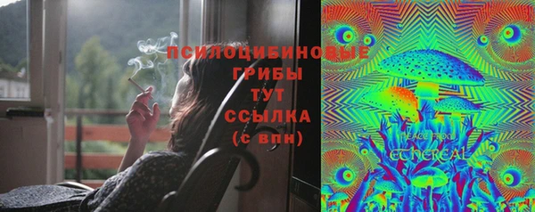 герыч Алексин