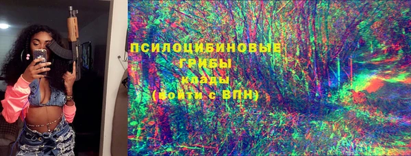 герыч Алексин