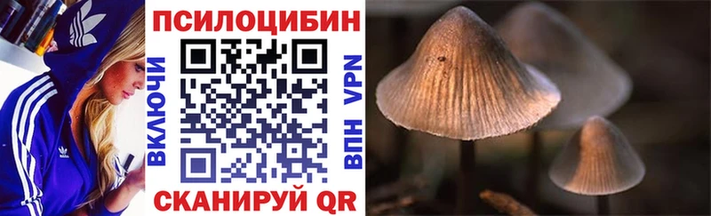 Купить где  Яблоновский  Псилоцибиновые грибы мицелий 